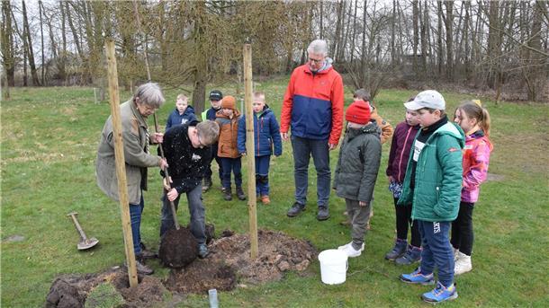 Astrid Brandtjen (links) vom Hegering pflanzt mit Selsinger Grundschülern und im Beisein von Rektor Helmut Winkelmann den „Baum des Jahres“.