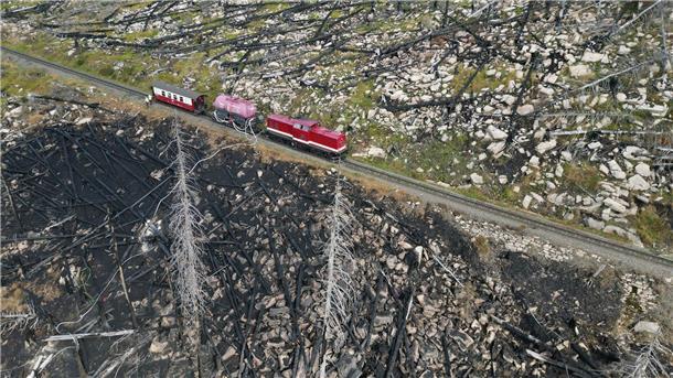 Brand am Brocken gelöscht - Ermittler suchen nach Ursachen Auch am Mittwoch wurden noch kleinere Brandstellen am Königsberg im Harz gefunden.