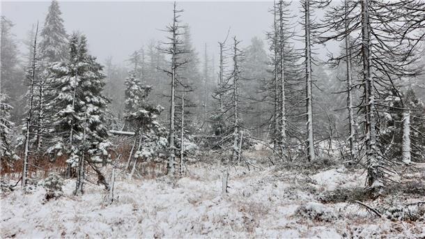 Auch auf dem Brocken hat es geschneit.