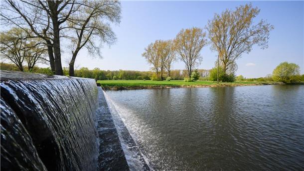 Gartenbesitzer und Landwirte in Sorge – Wann regnet es? Auch für die kommenden Tage ist laut Meteorologen vorerst kein Regen in Sicht. (Archivbild)