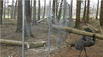 Sturmschäden im Februar 2022 im Beverstedter Tierpark Cux-Art. Ein Baum war auf den Zaun des Luchs-Geheges gefallen, mehrere Tiere konnten daraufhin ausbüxen.