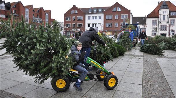 Auch mit dem Kettcar lässt sich ein Weihnachtsbaum transportieren.