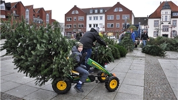 Auch mit einem Kettcar lässt sich ein ausrangierter Weihnachtsbaum zum Schreddern bringen