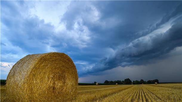 Auf Bauernregeln wie die vom „Siebenschläfertag“ ist nicht immer Verlass. Trotzdem sind sie nicht völlig aus der Luft gegriffen.