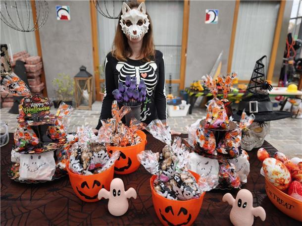 Auf dem Hundehof von Verena Heuwinkel in Bremerhaven gab es für Hunde und ihre B...