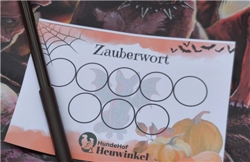 Auf dem Hundehof von Verena Heuwinkel in Bremerhaven gab es für Hunde und ihre B...