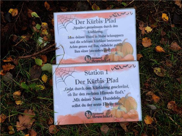 Auf dem Hundehof von Verena Heuwinkel in Bremerhaven gab es für Hunde und ihre B...