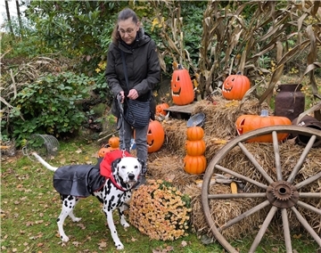 Auf dem Hundehof von Verena Heuwinkel in Bremerhaven gab es für Hunde und ihre B...