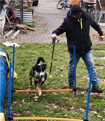 Auf dem Hundehof von Verena Heuwinkel in Bremerhaven gab es für Hunde und ihre B...