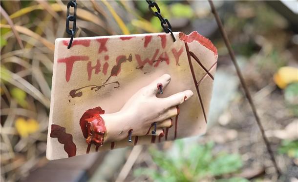 Auf dem Hundehof von Verena Heuwinkel in Bremerhaven gab es für Hunde und ihre B...