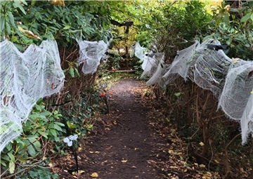Auf dem Hundehof von Verena Heuwinkel in Bremerhaven gab es für Hunde und ihre B...