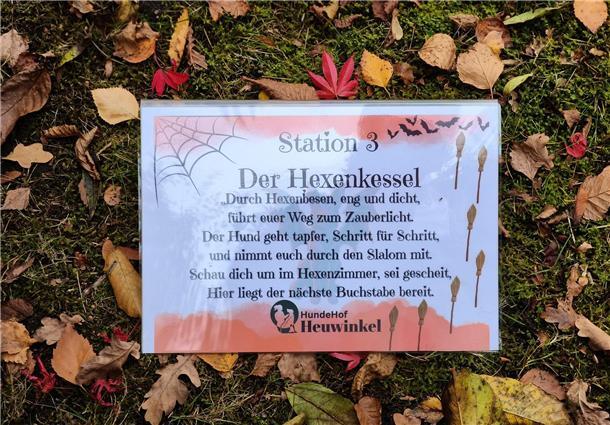 Auf dem Hundehof von Verena Heuwinkel in Bremerhaven gab es für Hunde und ihre B...