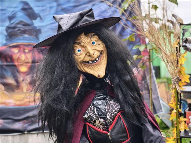 Auf dem Hundehof von Verena Heuwinkel in Bremerhaven gab es für Hunde und ihre B...