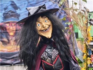 Auf dem Hundehof von Verena Heuwinkel in Bremerhaven gab es für Hunde und ihre B...