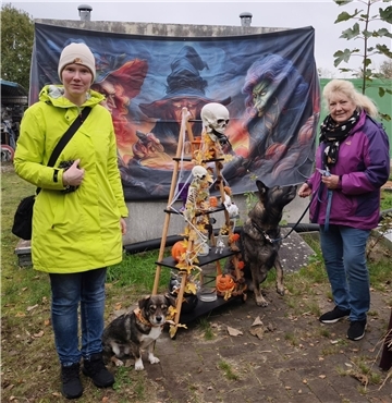 Auf dem Hundehof von Verena Heuwinkel in Bremerhaven gab es für Hunde und ihre B...