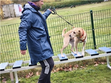 Auf dem Hundehof von Verena Heuwinkel in Bremerhaven gab es für Hunde und ihre B...