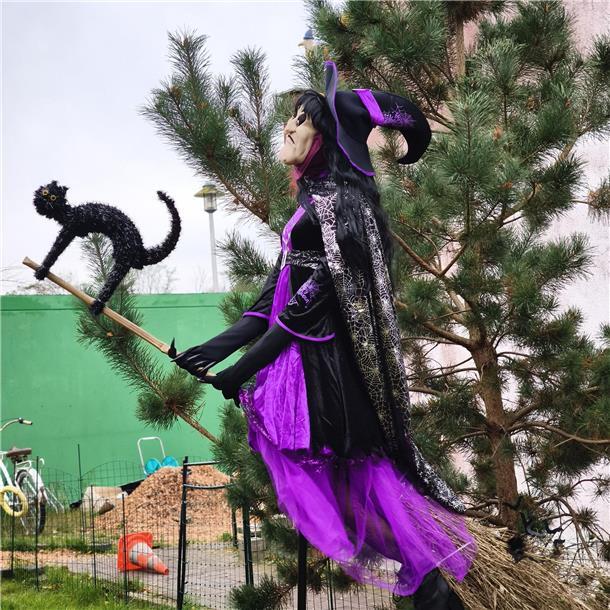 Auf dem Hundehof von Verena Heuwinkel in Bremerhaven gab es für Hunde und ihre B...