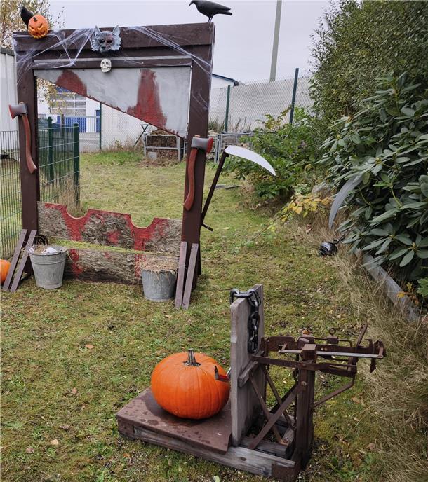 Auf dem Hundehof von Verena Heuwinkel in Bremerhaven gab es für Hunde und ihre B...