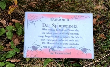 Auf dem Hundehof von Verena Heuwinkel in Bremerhaven gab es für Hunde und ihre B...