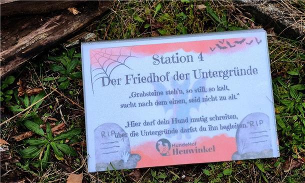 Auf dem Hundehof von Verena Heuwinkel in Bremerhaven gab es für Hunde und ihre B...