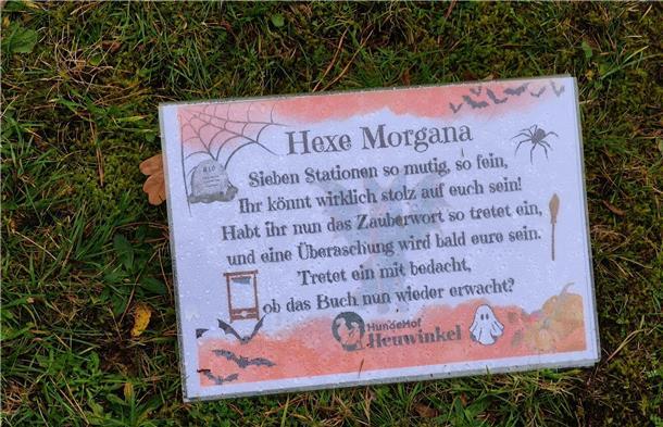 Auf dem Hundehof von Verena Heuwinkel in Bremerhaven gab es für Hunde und ihre B...