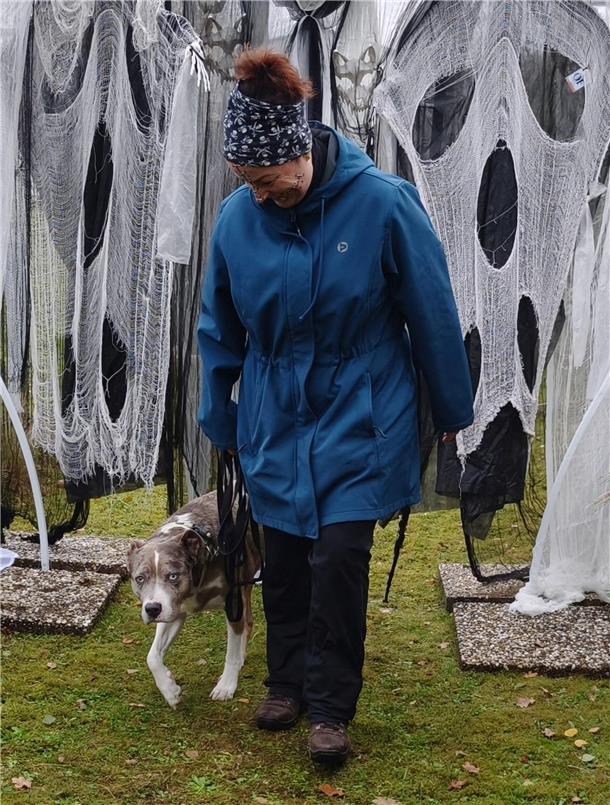 Auf dem Hundehof von Verena Heuwinkel in Bremerhaven gab es für Hunde und ihre B...