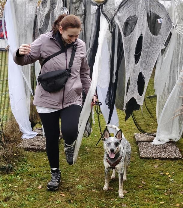 Auf dem Hundehof von Verena Heuwinkel in Bremerhaven gab es für Hunde und ihre B...