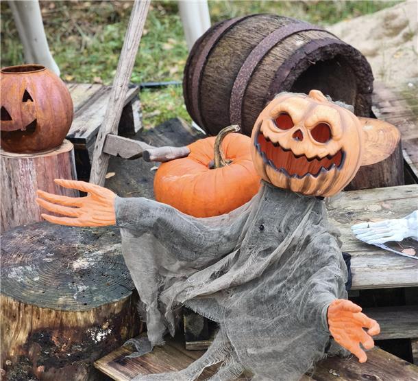 Auf dem Hundehof von Verena Heuwinkel in Bremerhaven gab es für Hunde und ihre B...