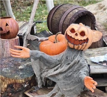 Auf dem Hundehof von Verena Heuwinkel in Bremerhaven gab es für Hunde und ihre B...