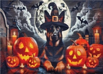 Auf dem Hundehof von Verena Heuwinkel in Bremerhaven gab es für Hunde und ihre B...