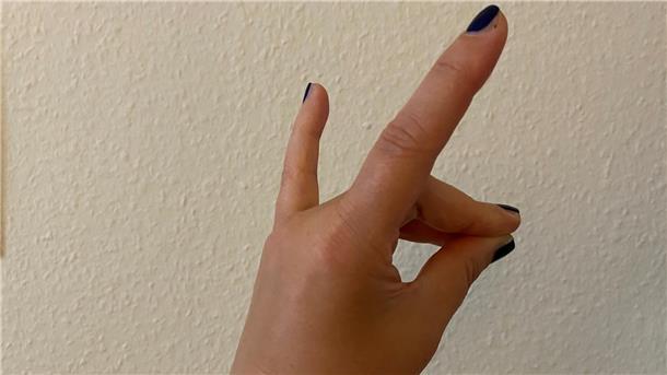 Eine Hand zeigt den Schweigefuchs.