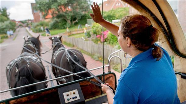 Baltrum will Pferdeinsel bleiben Auf der autofreien Insel Baltrum spielen Arbeitspferde eine wichtige Rolle. Das soll auch in Zukunft so bleiben.