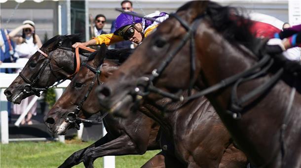 Lordano gewinnt Großen Hansa-Preis bei der Derby-Woche Auf der Galopp-Rennbahn in Hamburg-Horn fand der dritte Renntag statt.