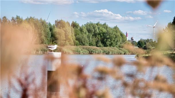 Kennen Sie diese traumhaften Fotospots in Bremerhaven? Auf der neuen Uferpromenade lassen sich romantische Aufnahmen der Geeste schießen.