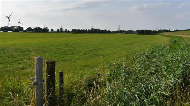 Auf diesen Grünland-Flächen unweit des stillgelegten Kernkraftwerks in Kleinensiel will Tennet für zwei geplante Konverter-Stationen eine Zufahrtsstraße von der Dedesdorfer Straße kommend errichten.