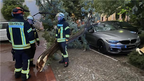 Auf ein an der Ludwigstraße auf einem Parkplatz abgestelltes Auto ist ein Baum gekracht. Die Feuerwehr war hier wie auch an vielen anderen Stellen in der Wesermarsch im Einsatz.