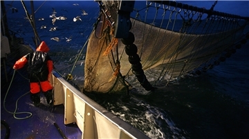 Auf einem Krabbenkutter werden am späten Abend auf der Nordsee die Netze eingeholt. Immer wieder finden die Fischer darin auch Müll.