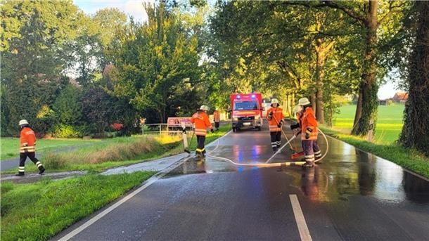 Zwei Pferde sterben bei Zusammenstoß mit Auto auf der B440 Auf einer Länge von rund 100 Metern musste die Feuerwehr die Straße reinigen.