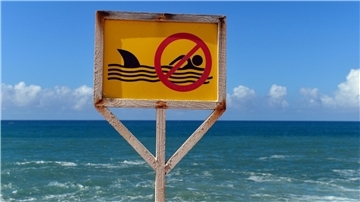 Auf Hawaii ist ein bekannter Surfer von einem Hai getötet worden.