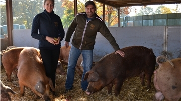 Auf Stroh und mit viel Platz im offenen Stall – so halten Philipp und Tessa Lange aus Albstedt ihre Schweine.