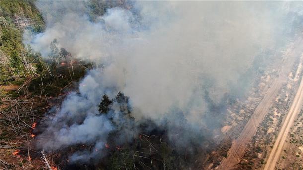 Auffrischender Wind hat den Waldbrand in einem mit Munition belasteten Waldgebiet südlich von Berlin angefacht und die betroffene Fläche auf 326 Hektar mehr als verdoppelt.