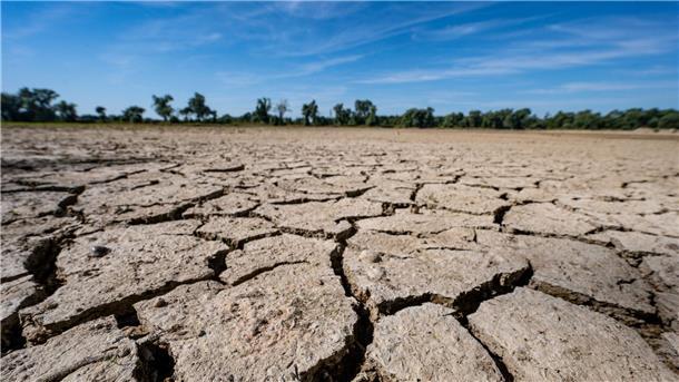 Von Artensterben bis Hitze - Report zeigt Risiko-Kipppunkte Aufgerissen und ausgetrocknet: Eine Sandbank an der Niedrigwasser führenden Donau im Juli 2022.