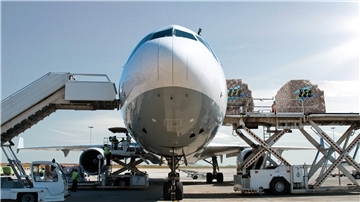 Aufgrund der steigenden Nachfrage nach Luft- und Seetransporten expandiert die L.I.T. Air & Sea nach Hamburg,
