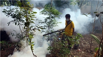 Aufgrund der vielen Dengue-Fieber-Fälle werden in den Straßen von Bangladesch Mittel versprüht, um die Aedes-Stechmücken zu töten.