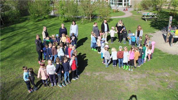 50 Jahre Pusteblume