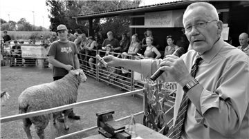 Auktionator Dieter Brockhoff