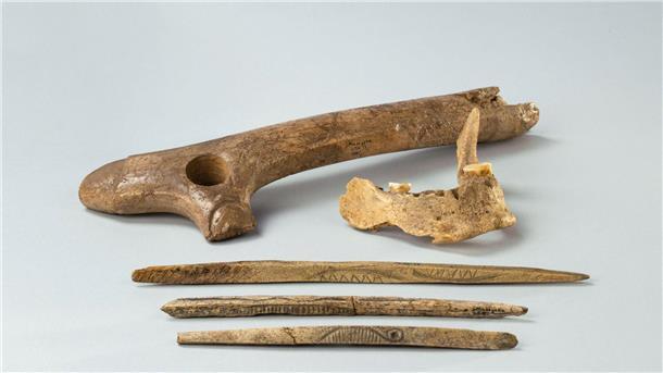 Aus der Maszycka-Höhle in Südpolen: Ein Stück eines menschlichen Kiefers sowie Knochenund Geweihartefakte aus der Magdalenien-Kultur, die vor 19.000 bis 14.000 Jahren in großen Teilen Europas verbreitet war.