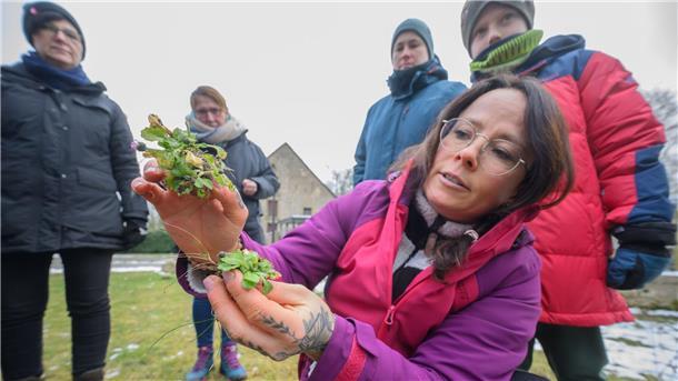 Klosterwald statt Supermarkt - Events in der Natur gefragt Aus Gänseblümchen lässt sich Salat machen, erläutert die Kursleiterin.