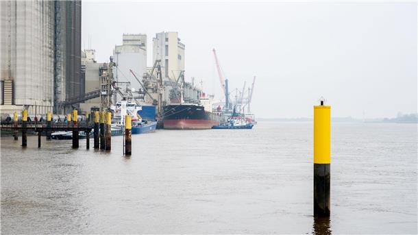 Umweltverbände: Keine Vertiefung der Unterweser erforderlich Aus Sicht von Umweltverbänden ist eine Vertiefung der Unterweser nicht erforderlich. (Archivfoto)
