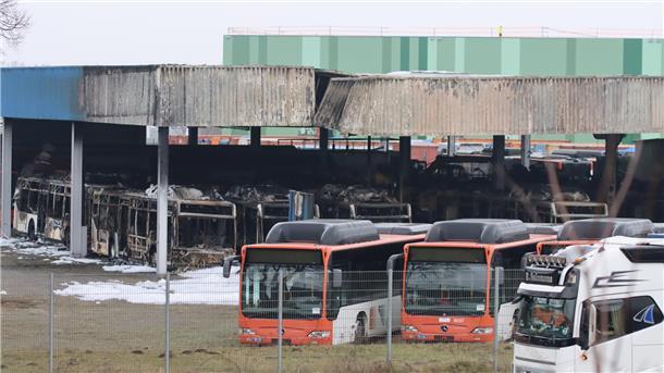 Ausgebrannte Busse stehen auf dem Gelände der Firma Alga in Sittensen. Dort und bei einem Autohändler in Weertzen wurde vor vier Tagen ein Feuer gelegt.